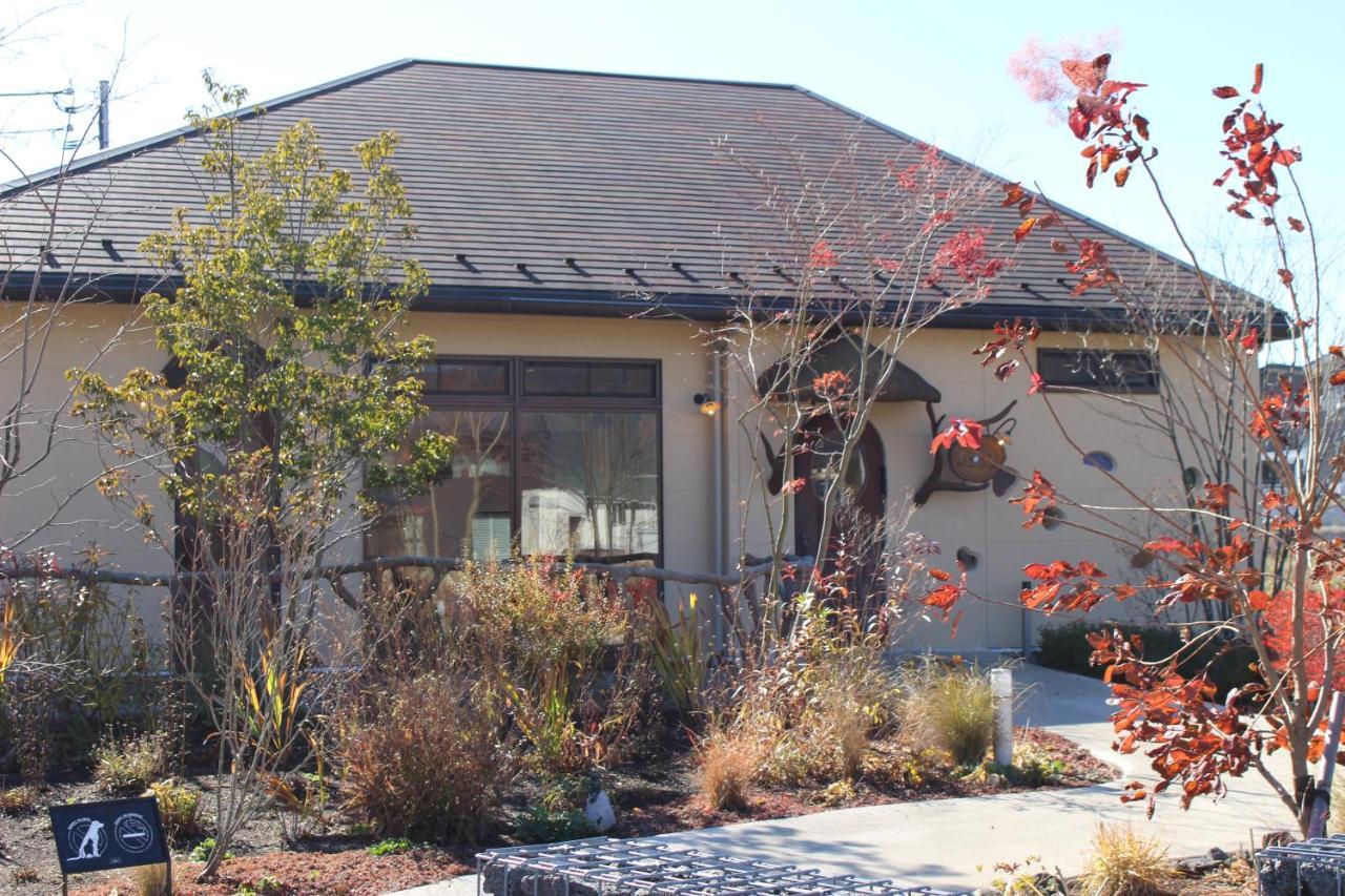 Moonlightvilla 河口湖大橋 Fujikawaguchiko Ngoại thất bức ảnh